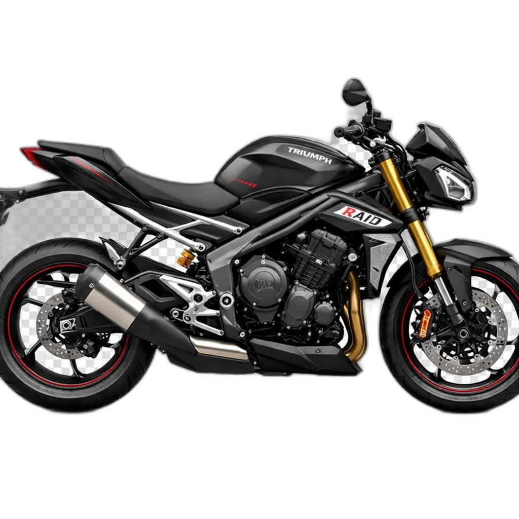 Triumph Street Triple Raid